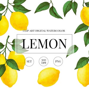 Watercolor Lemon PNG Clipart. Lemons clipart  digital watercolor set. Lemon bridal shower or wedding png clipart. Instant download.