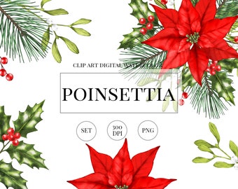 Conjunto de imágenes prediseñadas navideñas en acuarela: Nochebuena, acebo, pino (descarga digital PNG)