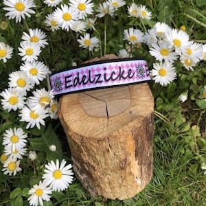 Dog collar Edelzicke Zicke