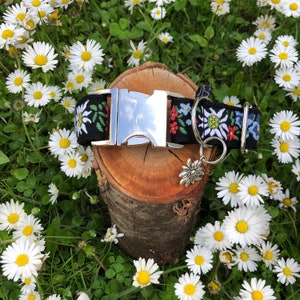 Dog collar mountain flowers alpine love