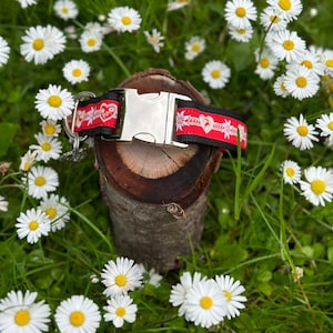Dog collar &quot;Alpenstyle Alpen Alpenlook red&quot;