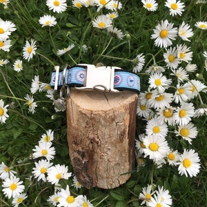 Dog collar Maritime on grey or black
