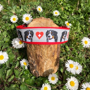 katzentoilette design PeeWee EcoGranda Starterpaket Grau main image 0