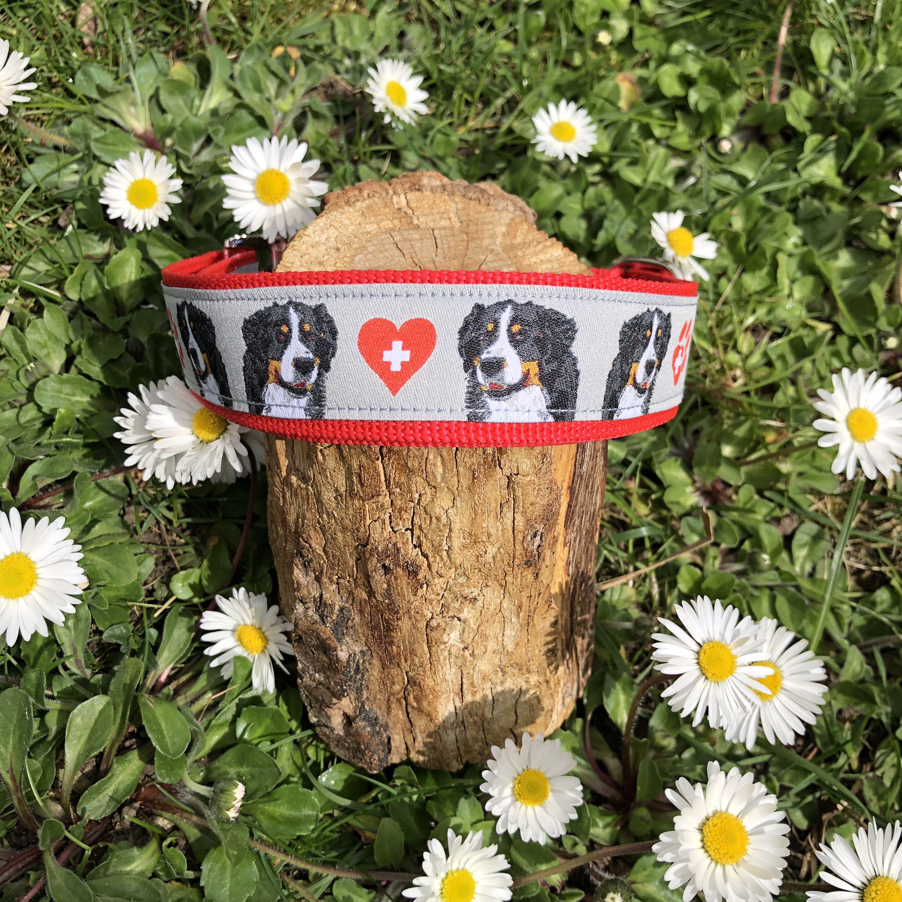Halsband berner sennenhund - Etsy.de