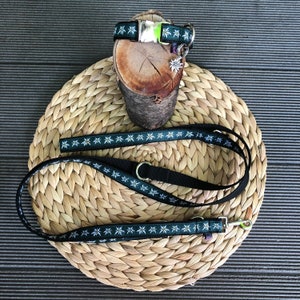 Collare per cani Edelweiss green con guinzaglio regolabile 1,80 m