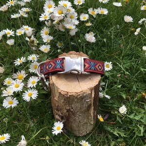 Dog collar &quot; Summer red &quot;