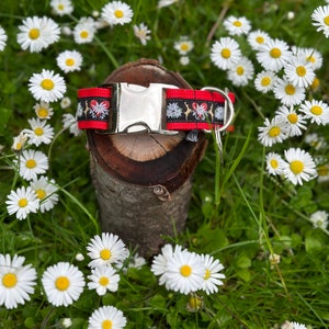 Dog collar costume fawn deer