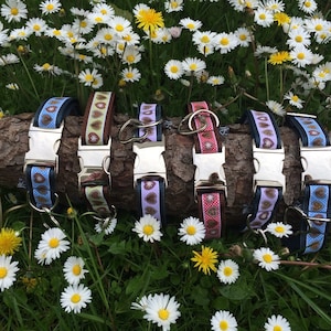 Dog collar Alpenliebe in different colors in 2.5 cm width