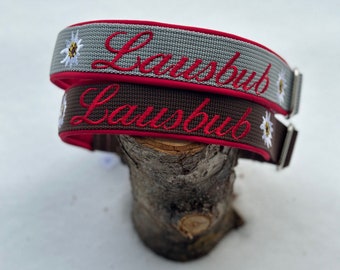 Puede incluir: Dos collares para perros con ribete rojo y flores blancas bordadas. Ambos collares están bordados con la palabra "Lausbub" en rojo.