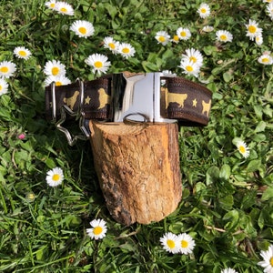 Dog Collar Golden Retriever
