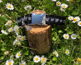 Puede incluir: Collar de perro negro y blanco con una hebilla plateada y un dije plateado. El collar está decorado con flores blancas de edelweiss. El collar está sobre una superficie de madera rodeada de margaritas blancas.