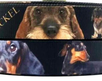 Ribbon Webband Hund Hunde Dackel Kurzhaardackel Rauhaardackel