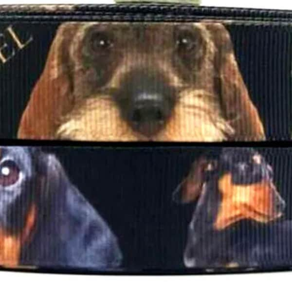 Ribbon Webband Hund Hunde Dackel Kurzhaardackel Rauhaardackel