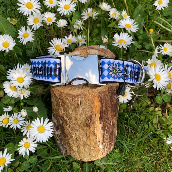 Hundehalsband Lausbub blau weiss