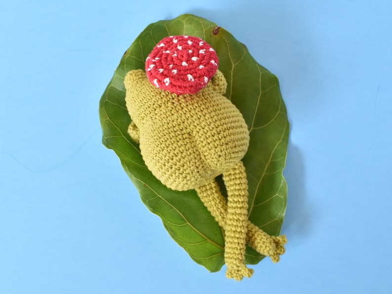 Fancy Frog Crochet Pattern Tiny Curl Amigurumi Pattern, Crochet Frog Pattern, Frog Amigurumi Pattern image 2