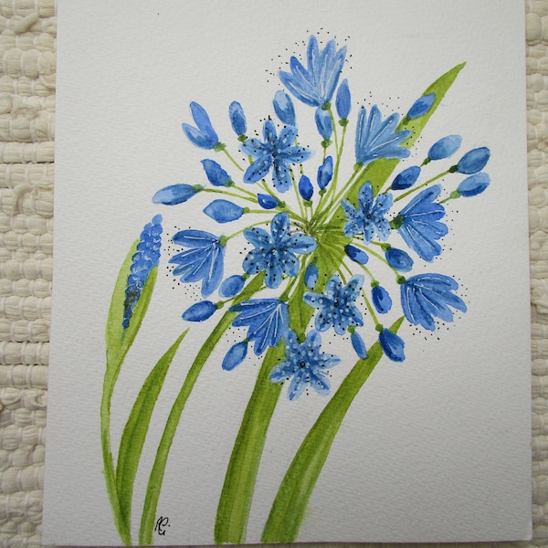 Original signed water colour painting Agapanthus