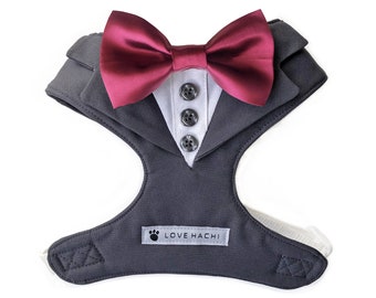 Pettorina per cani con papillon grigio antracite e bordeaux
