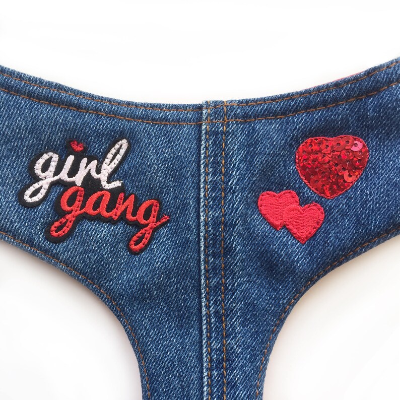 Girl Gang Sequin Heart Denim Dog Harness