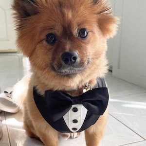 クラシックなブラックの蝶ネクタイタキシード犬用ハーネス