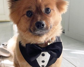 Harnais classique noir pour chien avec noeud papillon