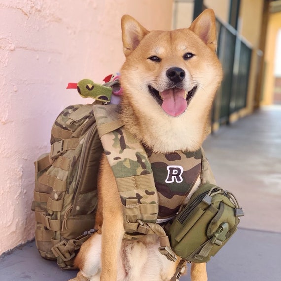 Trooper Squad Dog Harness