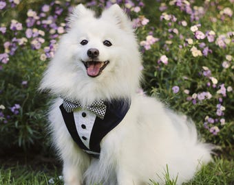Harnais bleu marine pour chien avec noeud papillon