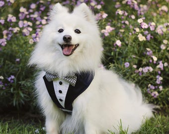 Navy Bow Tie Tuxedo Dog Harness