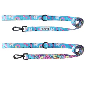 Rainbow Splash Dog Lead
