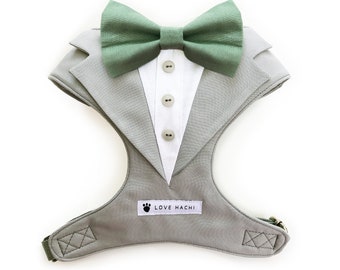Harnais pour chien Tuxedo noeud papillon gris clair et vert sauge