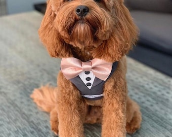 Charcoal Grey & Blush Pink Bow Tie Tuxedo Dog Harness