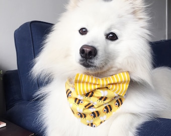 Sweet as Honey Bow  Tie Dog Bandana