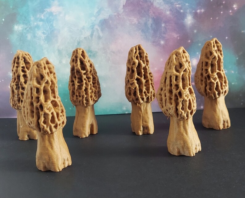 Morel Mushroom Decoration, Morel Mushroom Ornament, Morel Mushroom Figurine in Walnut Etsy