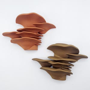 Mushroom Flush Floating Shelf, Home Decor for the Mushroom Lover, Wall Decor for your cottage, home or office, Fungus Decor