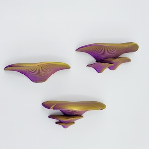 Mushroom Shelves (set of 3), Polypore Shelves for your home or office, Gift for the Mushroom Lover, Nature Inspired Home Decor