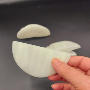 Glow in the Dark Mushroom Shelf, Mushroom Shelves (set of 3), Polypore Shelves for your home, 3D Printed Oyster Mushroom Shelf Set