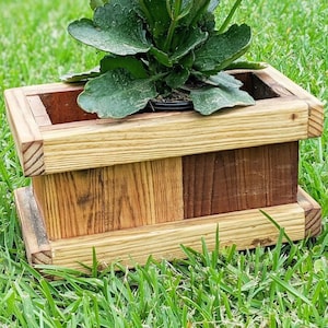 Kist van teruggewonnen hout: rustieke boerderijplanter