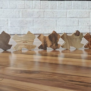 Wood Texas Cutout, Wedding Favor Gift For Him Guy, Office Desk Decor, Texas State, Birthday, Vacation Travel Map, Spring, Mothers Day Father image 6
