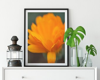 Ringelblume Blumen inspiriert Fine Art Fotografie Druck