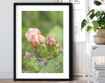 Kaktusblüte II, Floral inspirierter Fine Art Fotografie Druck