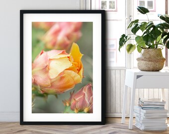 Cactus Bloom, Floral Inspired Fine Art Photography Print