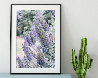 Lila Schmetterling Busch Fine Art Fotografie Print (digitaler Download)