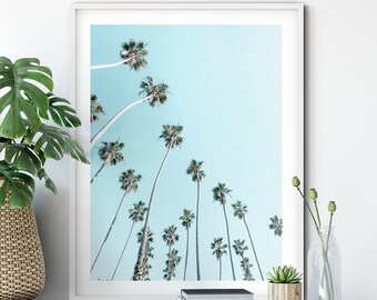 Palmen, Reisen und Natur Fotografie inspiriert Fine Art Fotografie