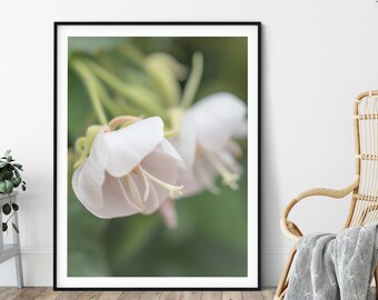 Pink Flowers - 1701, Botanical Inspired Fine Art Photography Print