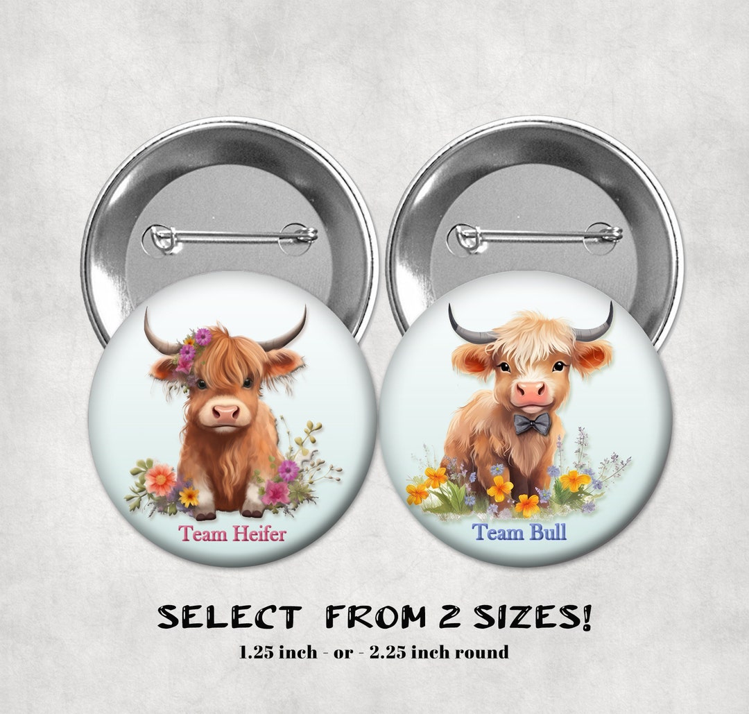 Cute Highland Cow Gender Reveal Baby Shower Pin Buttons, Team Heifer