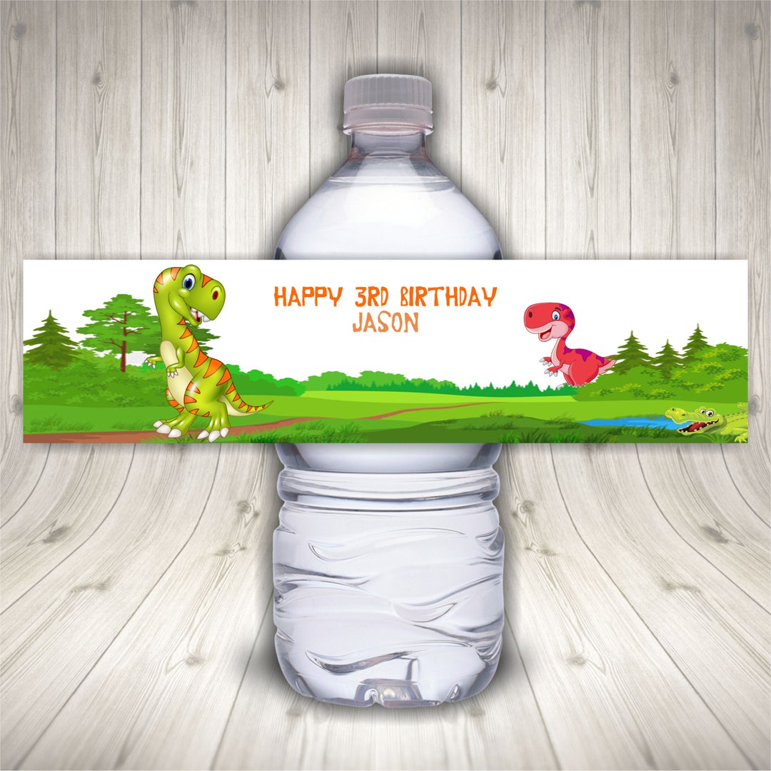 Personalized Dinosaur Birthday Party Water Bottle Labels Dino Etsy