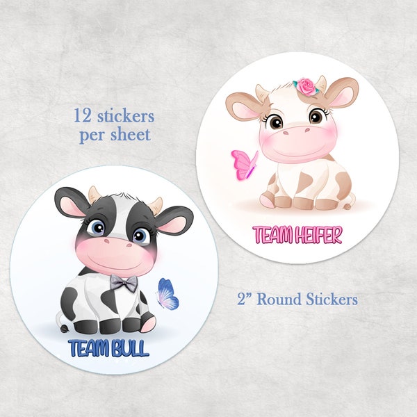 Heifer or Bull Gender Reveal Shirt Etsy