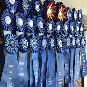 The Original Ribbon Rack - Etsy