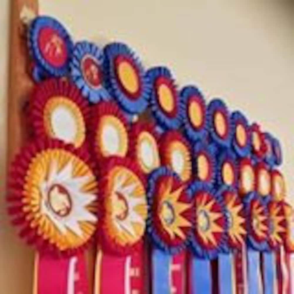 OriginalRibbonRack - Etsy