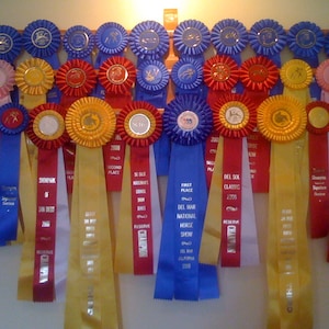 Original Ribbon Rack ~ Large Free Shipping - Etsy