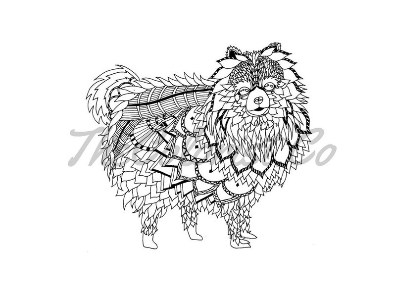 Kleurplaat Van Pommeren Hond Art Druklijnen Etsy